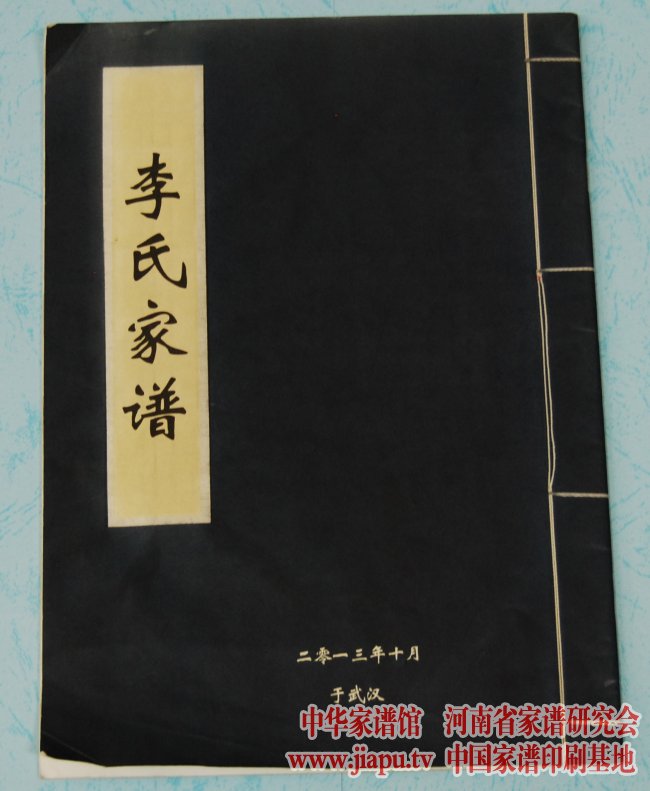 河北省卢龙县木井乡李氏家谱封面