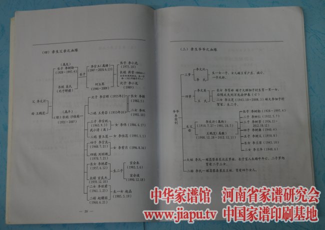 河北省卢龙县木井乡李氏家谱世系表