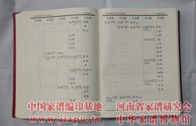 江苏徐州睢宁县魏氏族谱 (8).jpg