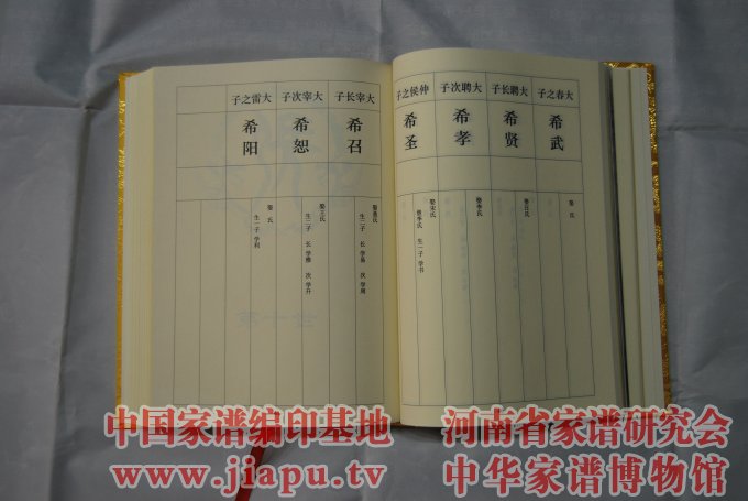 新乡市获嘉县张氏族谱【本源堂】 (3).jpg