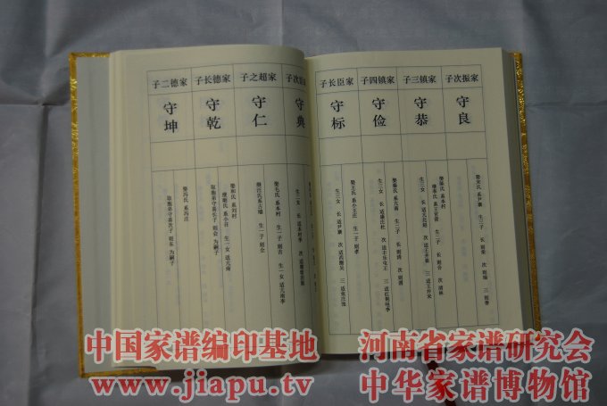 新乡市获嘉县张氏族谱【本源堂】 (4).jpg