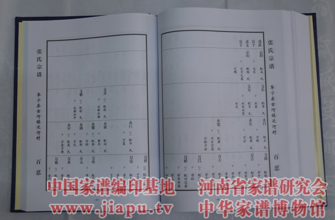 江苏安东张氏宗谱 (9).jpg