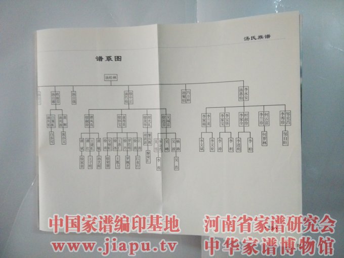 云南省开远市汤氏族谱 (6).jpg