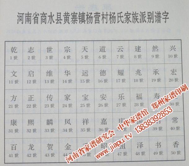 杨氏字谱派别