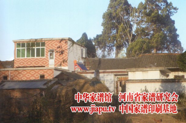 光山县槐店乡柿洼风景