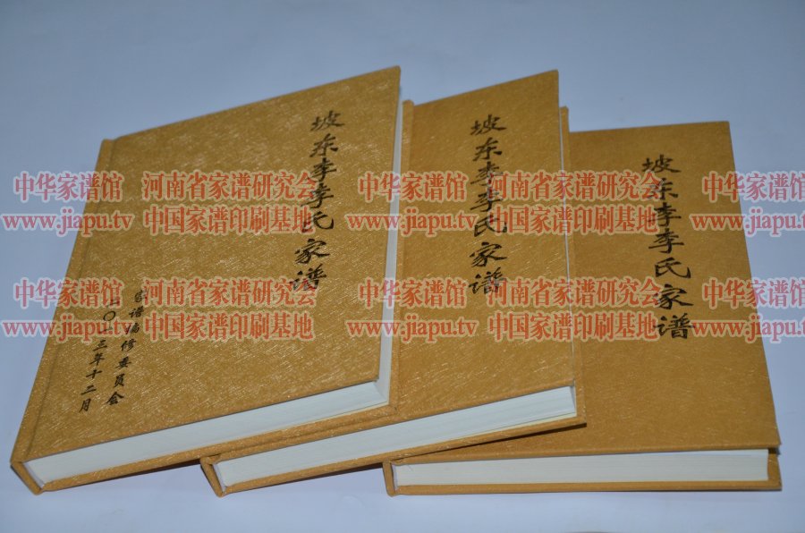 中牟县坡东李村李氏家谱外观图