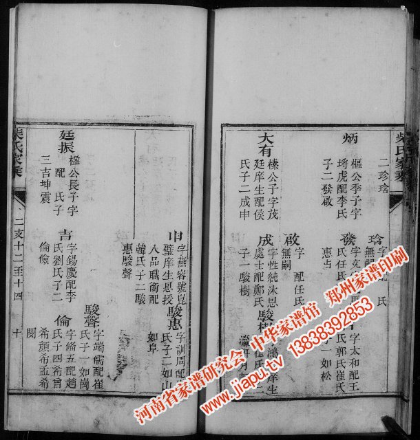 周口市淮阳县新站镇柴氏族谱(1946年版本)_柴氏家谱网