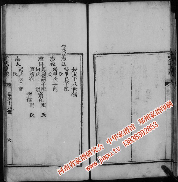 周口市淮阳县新站镇柴氏族谱(1946年版本)_柴氏家谱网