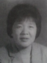 杨琴(淮阳县城关回族镇回民中学教师)