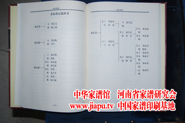 云南郑氏家谱世系图