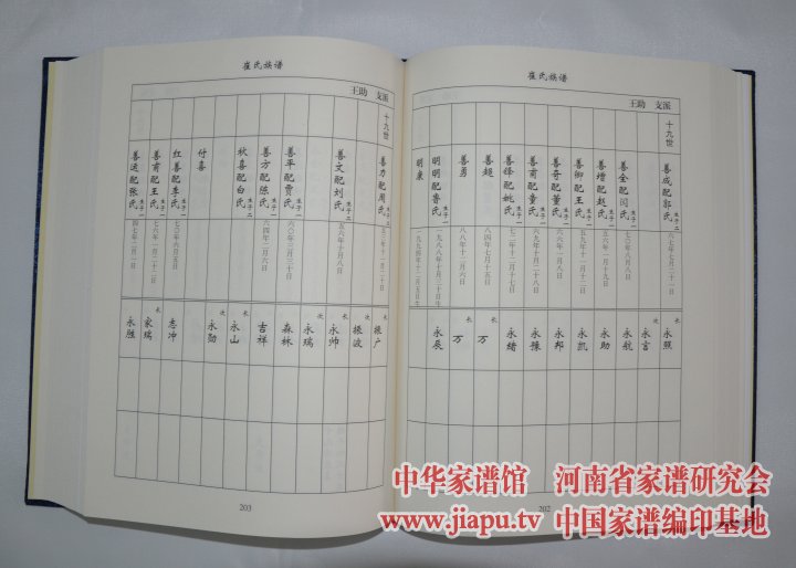 濮阳崔氏族谱-郑州家谱印刷厂