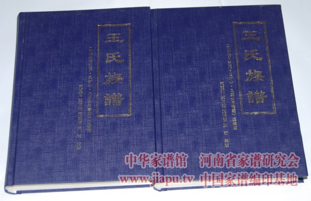 四川南充王氏族谱封面