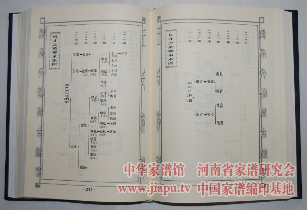 四川南充王氏族谱内文